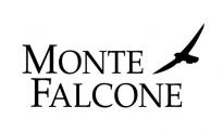Логотип Monte Falcone